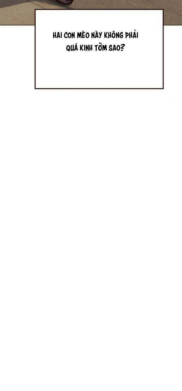 Hoá Thân Thành Mèo Chapter 193 - Trang 3