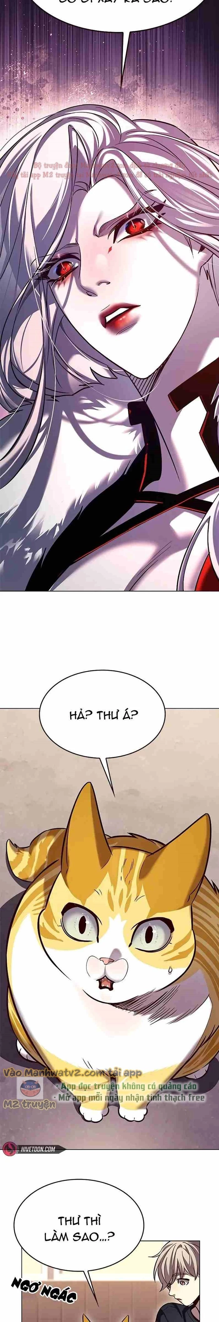 Hoá Thân Thành Mèo Chapter 306 - Trang 2