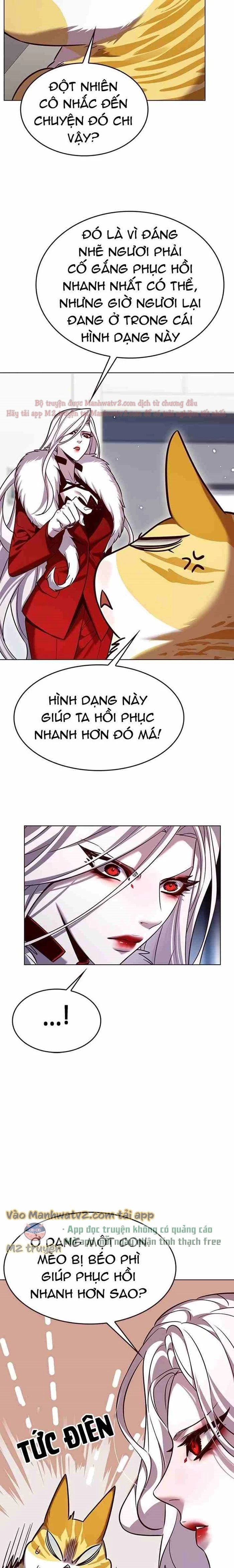 Hoá Thân Thành Mèo Chapter 308 - Trang 4