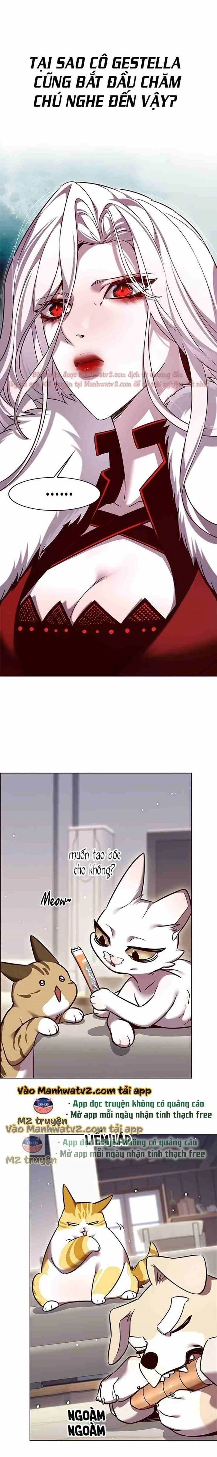 Hoá Thân Thành Mèo Chapter 308 - Trang 4