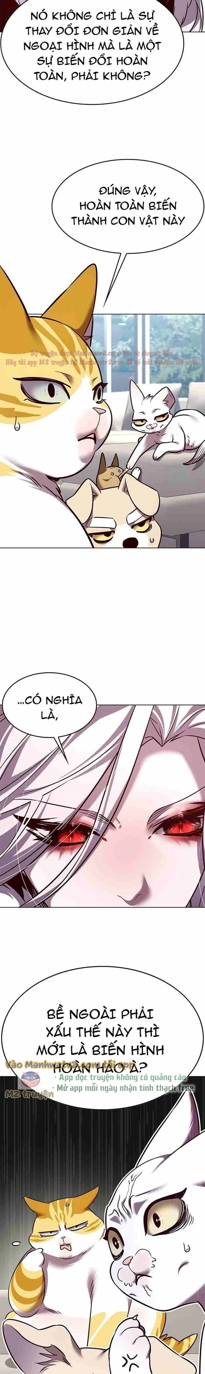 Hoá Thân Thành Mèo Chapter 308 - Trang 4