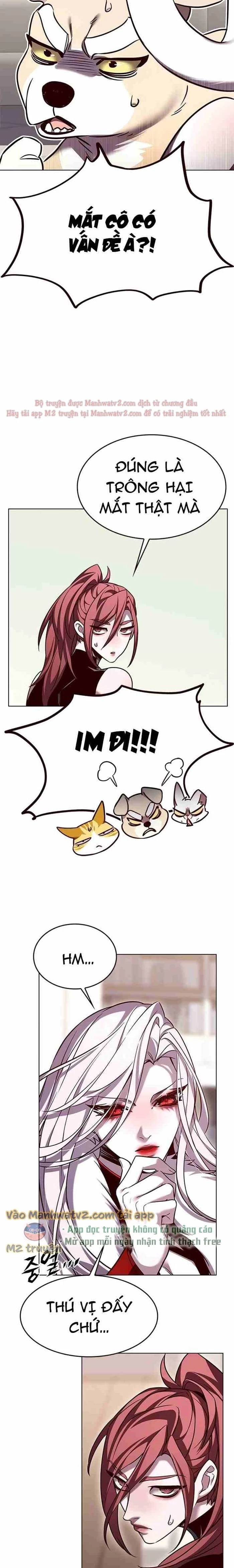 Hoá Thân Thành Mèo Chapter 308 - Trang 4