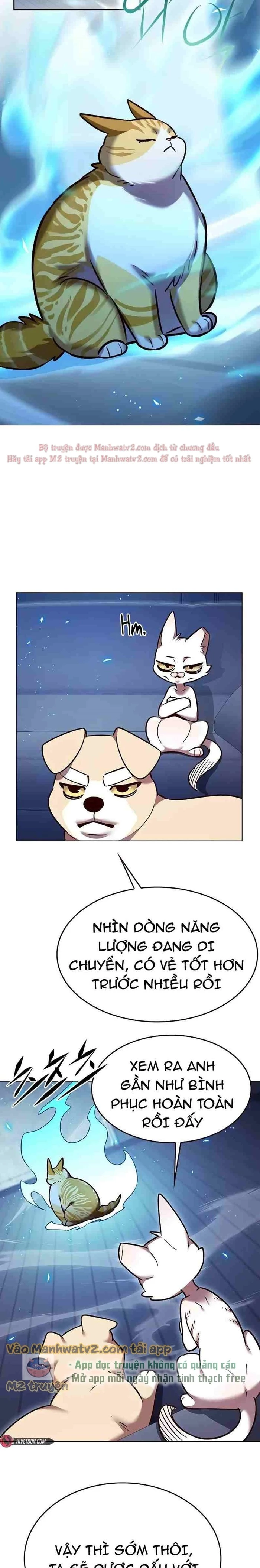 Hoá Thân Thành Mèo Chapter 309 - Trang 4