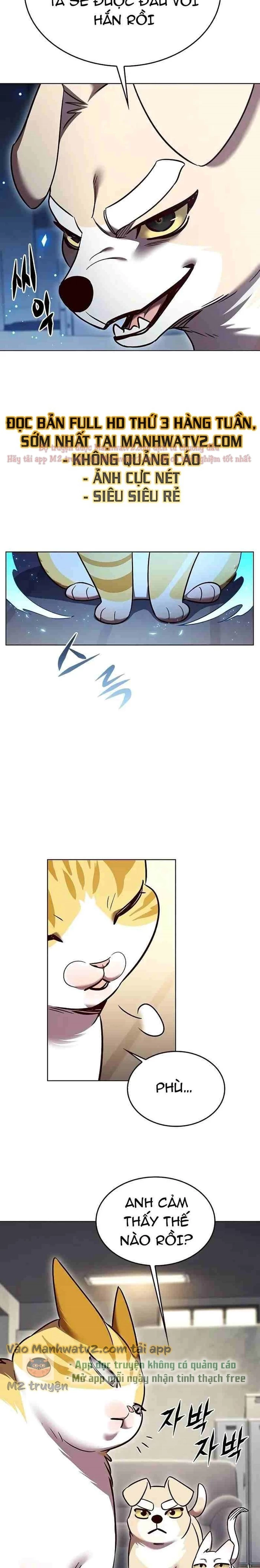 Hoá Thân Thành Mèo Chapter 309 - Trang 4