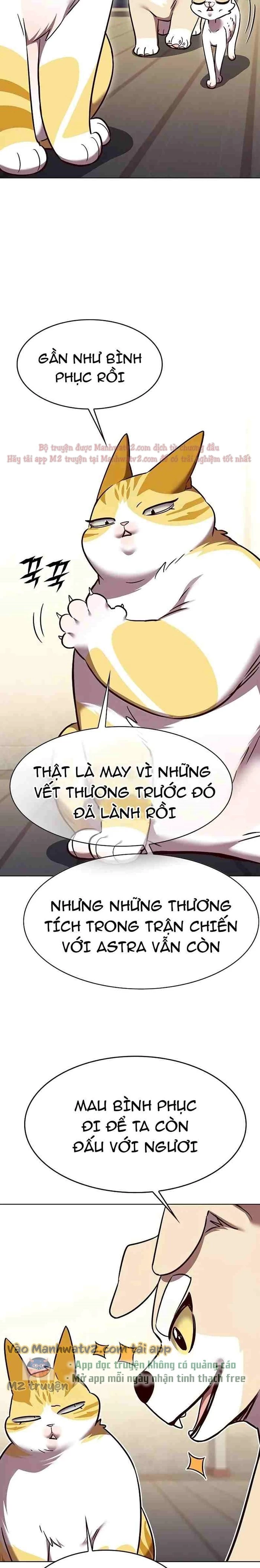 Hoá Thân Thành Mèo Chapter 309 - Trang 4