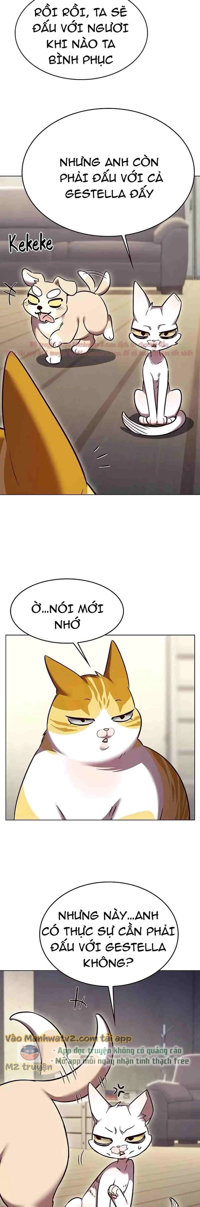 Hoá Thân Thành Mèo Chapter 309 - Trang 4