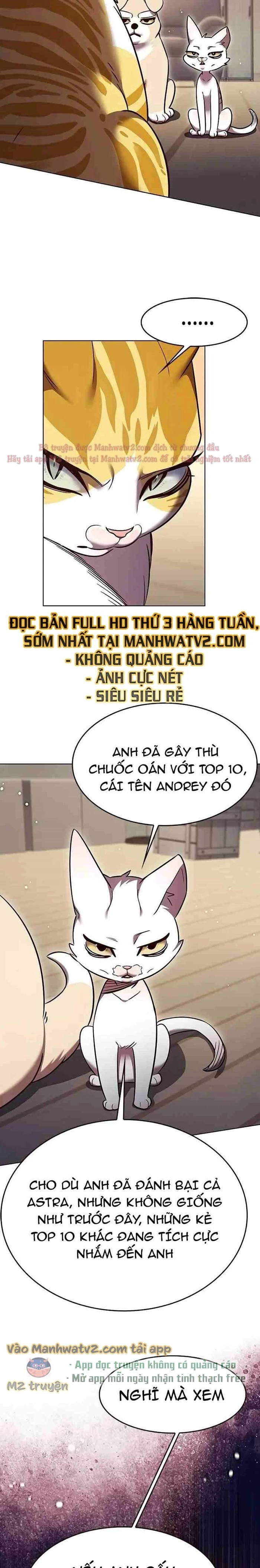 Hoá Thân Thành Mèo Chapter 309 - Trang 4