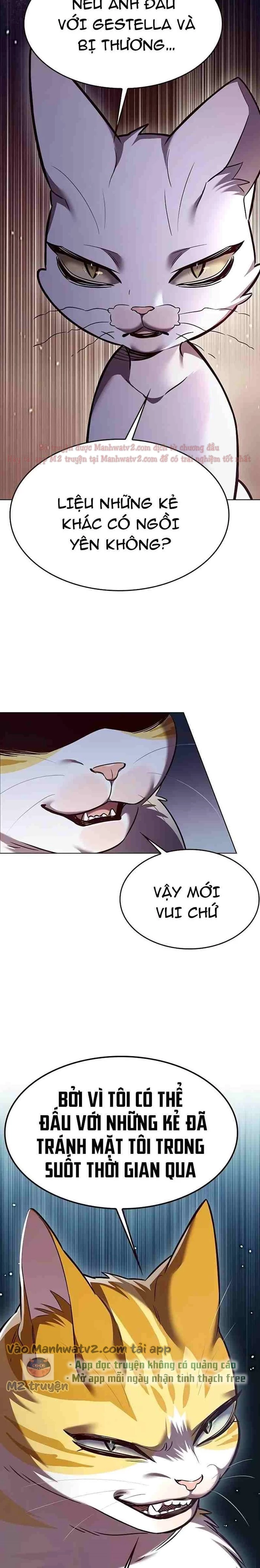 Hoá Thân Thành Mèo Chapter 309 - Trang 4