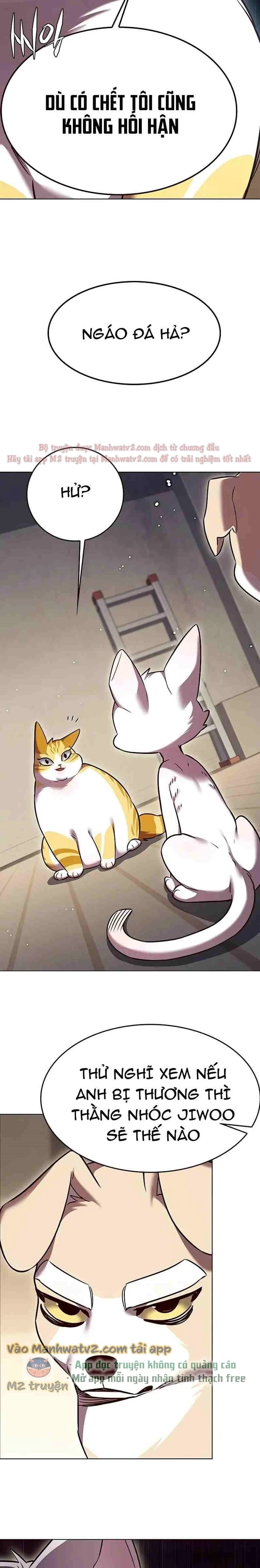 Hoá Thân Thành Mèo Chapter 309 - Trang 4