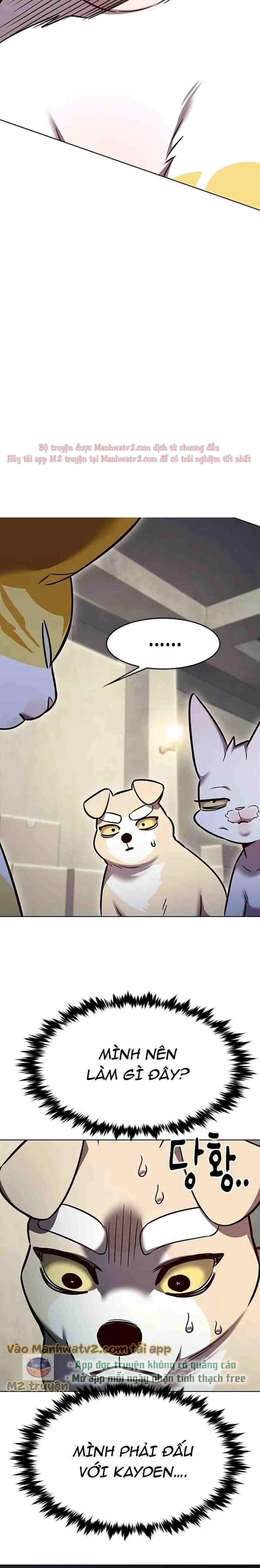 Hoá Thân Thành Mèo Chapter 309 - Trang 4