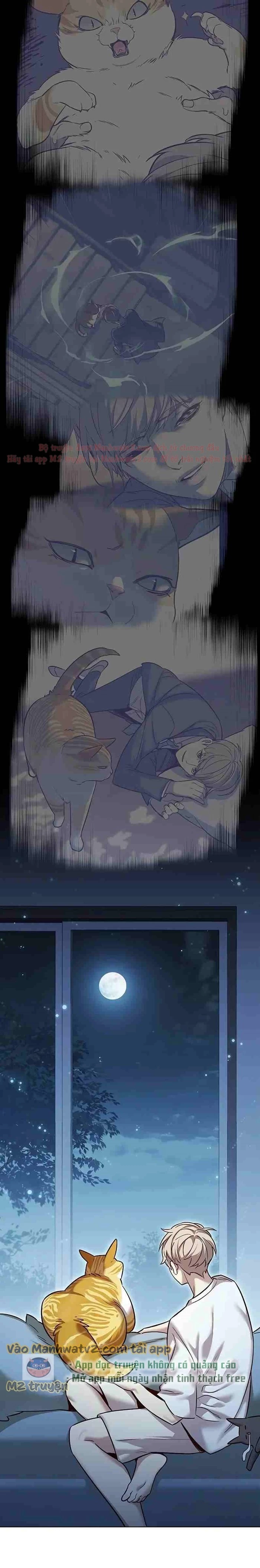 Hoá Thân Thành Mèo Chapter 309 - Trang 4