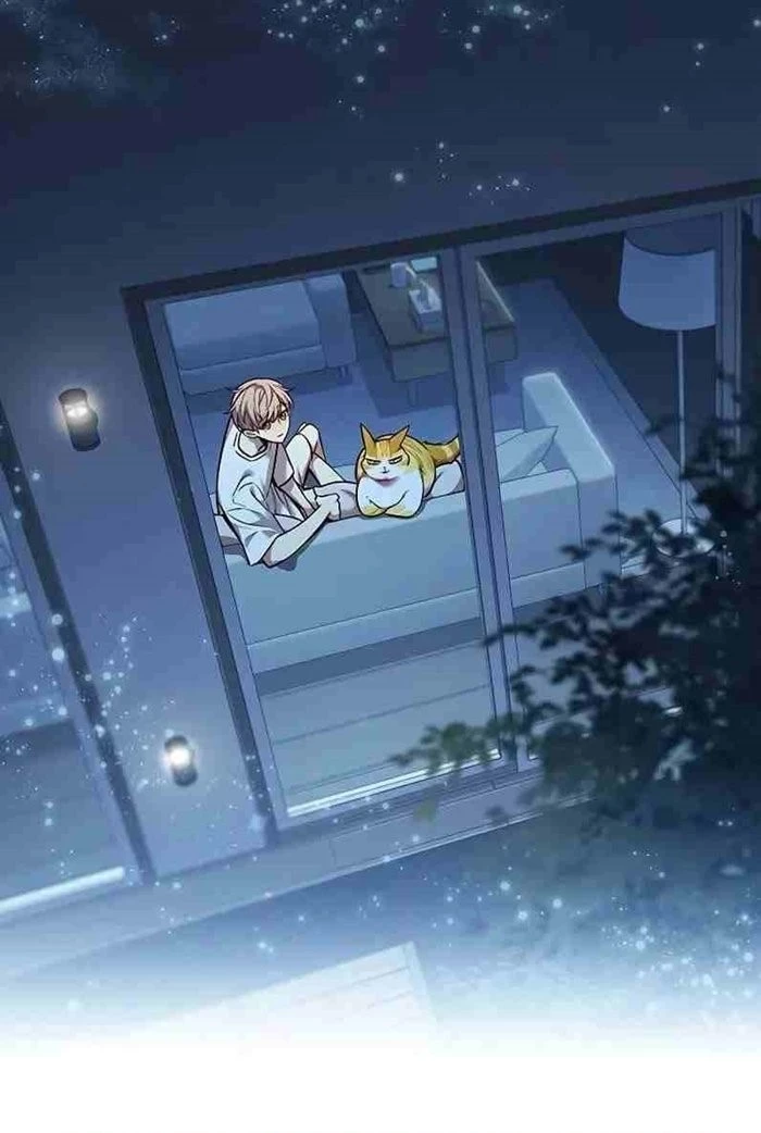 Hoá Thân Thành Mèo Chapter 309 - Trang 4