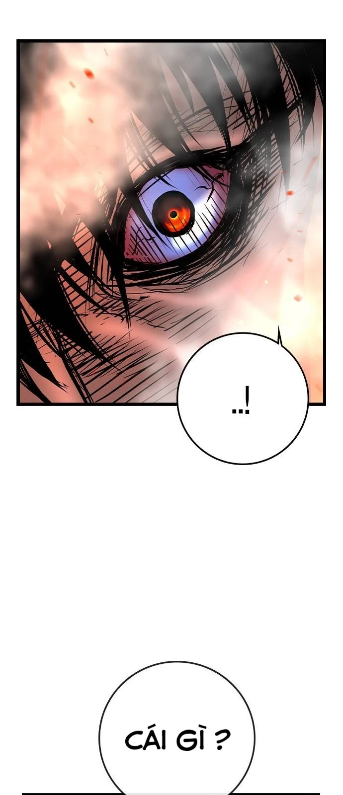 Phòng Gym Hanlim Chapter 178 - Trang 3