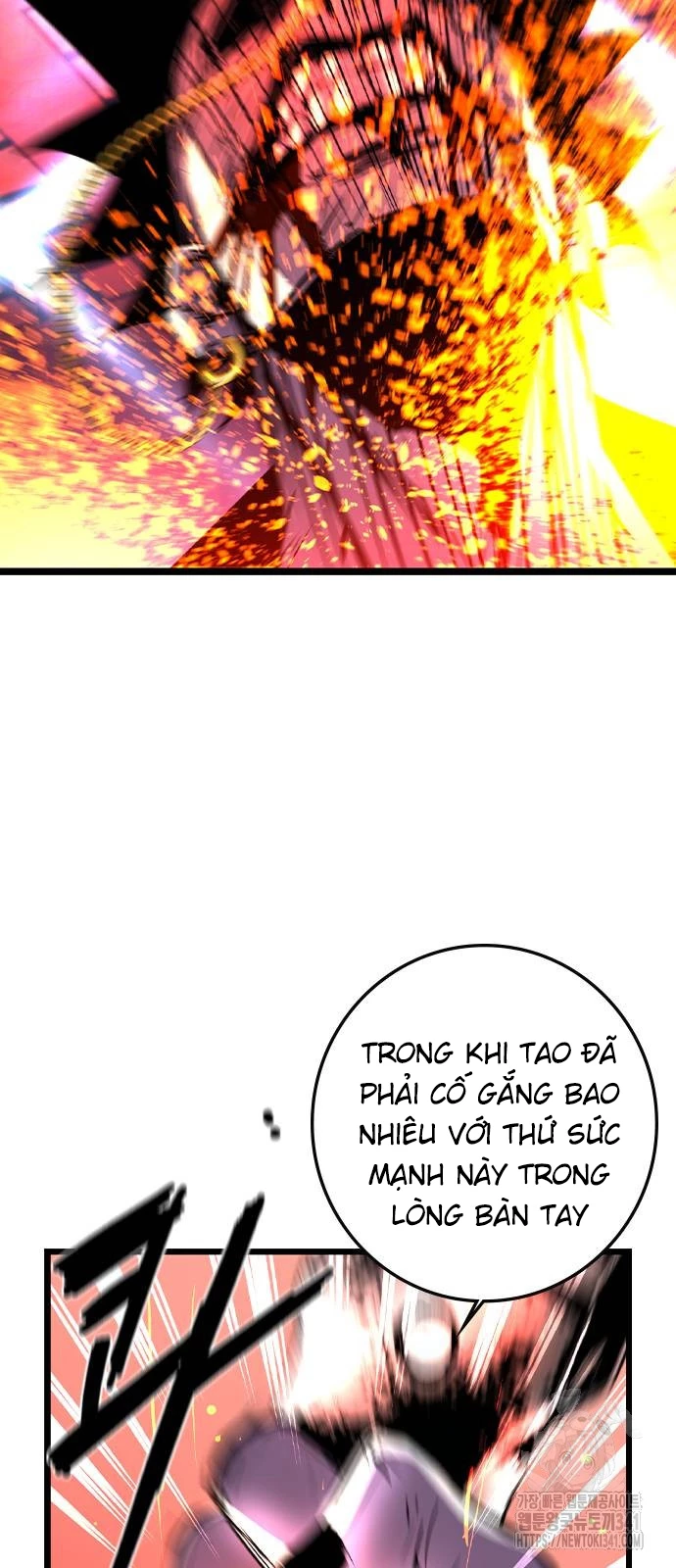 Phòng Gym Hanlim Chapter 183 - Trang 4
