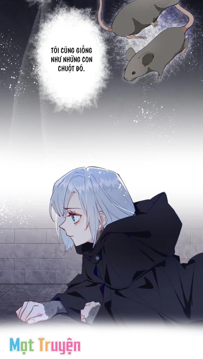 Sự Trả Thù Của Dự Khuyết Thánh Nữ Chapter 6 - Trang 4