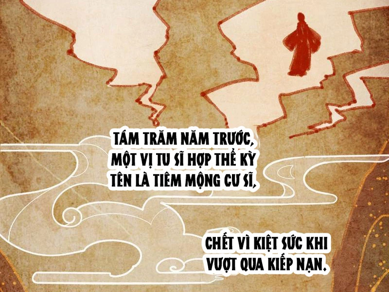 Đại Thừa Kỳ Mới Có Nghịch Tập Hệ Thống Chapter 17 - Trang 2
