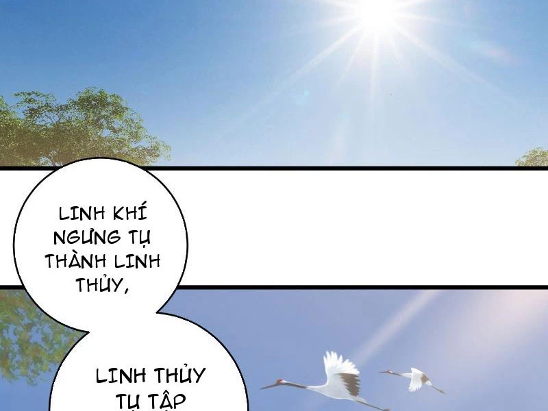 Đại Thừa Kỳ Mới Có Nghịch Tập Hệ Thống Chapter 18 - Trang 2