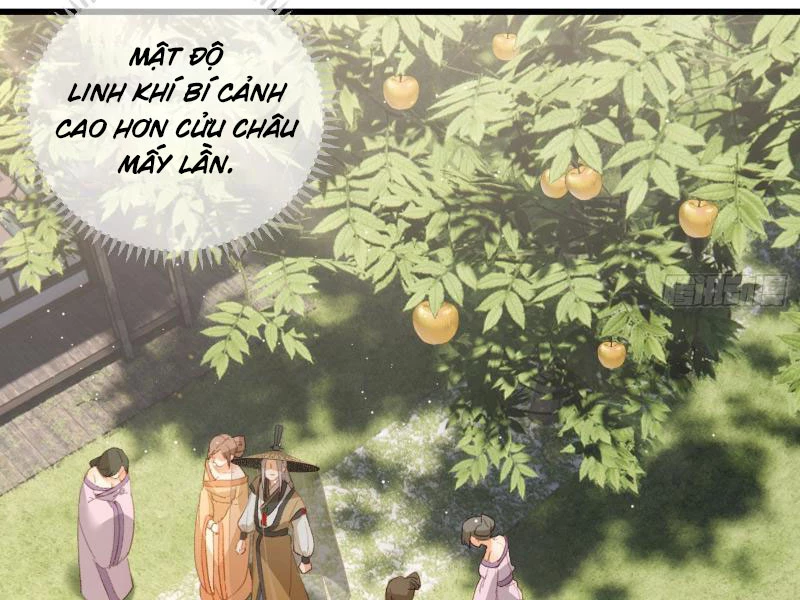 Đại Thừa Kỳ Mới Có Nghịch Tập Hệ Thống Chapter 18 - Trang 2