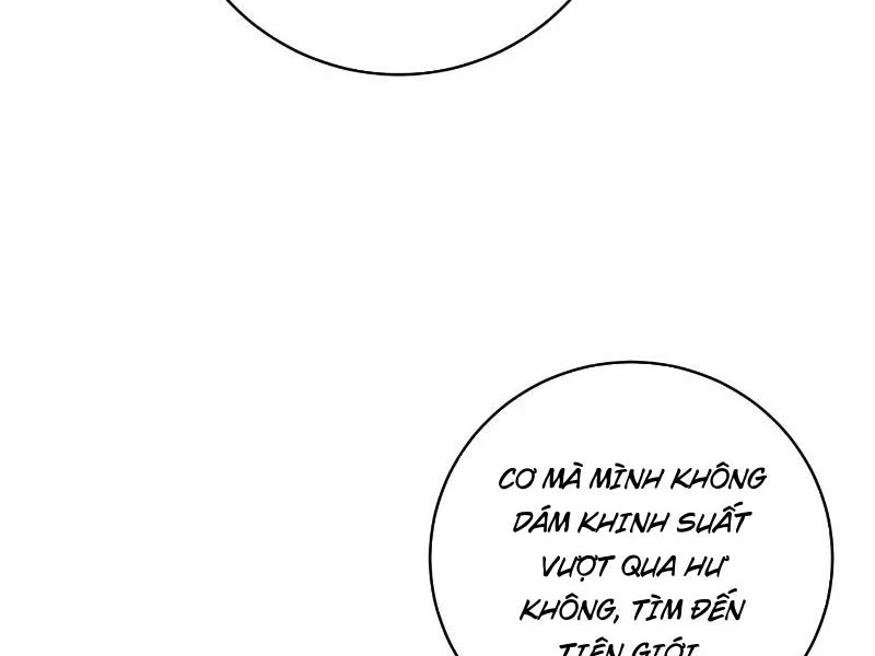 Đại Thừa Kỳ Mới Có Nghịch Tập Hệ Thống Chapter 24 - Trang 2