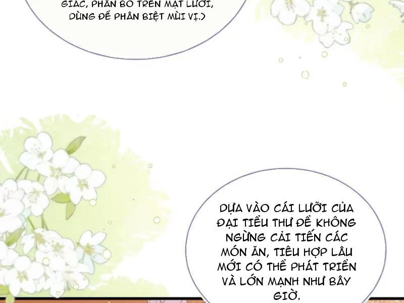 Bỏ Làm Simp Chúa, Ta Có Trong Tay Cả Tỉ Thần Hào! Chapter 112 - Trang 2