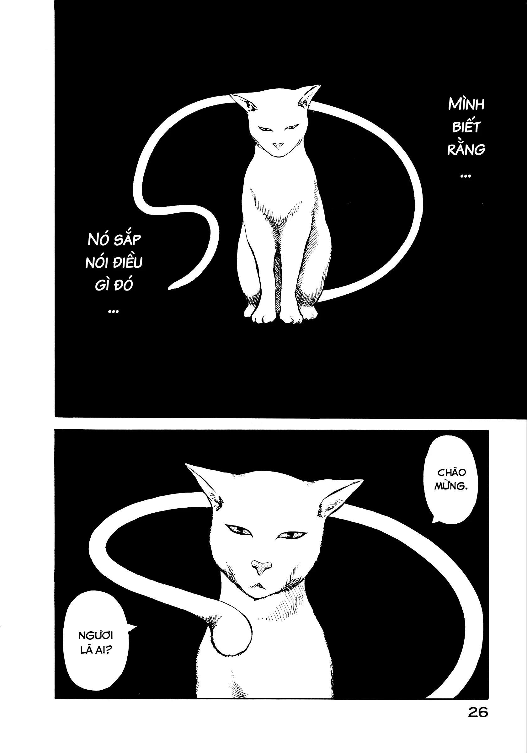 Planetes Chapter 12 - Next 