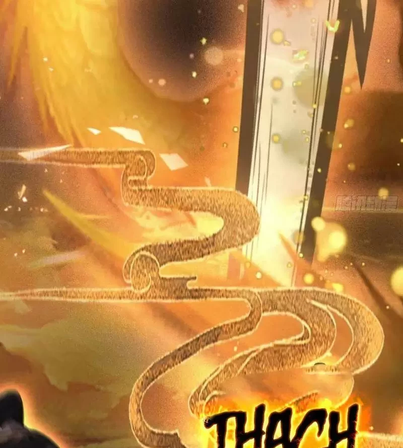 Hoá Ra Ta Đã Vô Địch Từ Lâu Chapter 61 - Trang 4