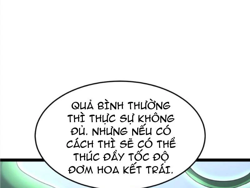 Toàn Cầu Băng Phong: Ta Chế Tạo Phòng An Toàn Tại Tận Thế Chapter 396 - Trang 4