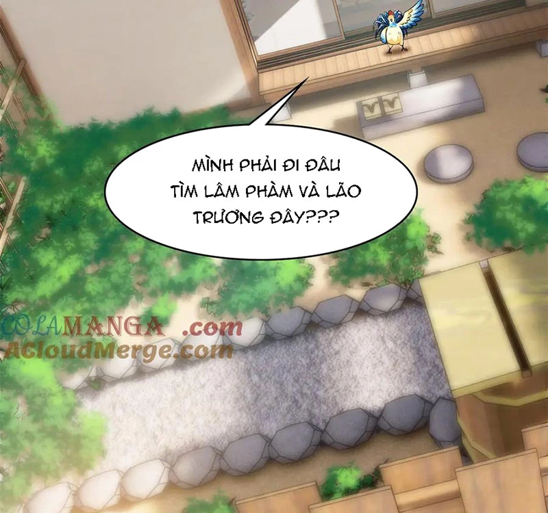 Cường Giả Đến Từ Trại Tâm Thần Chapter 276 - Trang 4