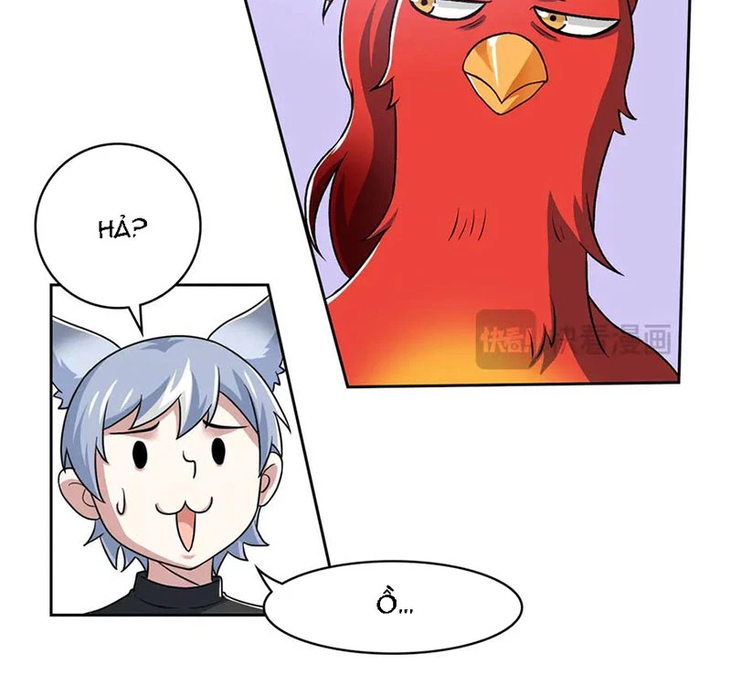 Cường Giả Đến Từ Trại Tâm Thần Chapter 276 - Trang 4