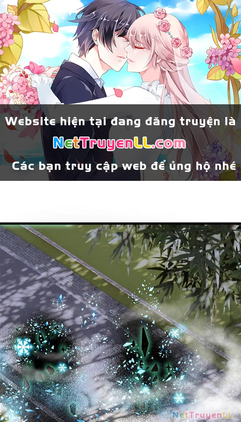 Cường Giả Đến Từ Trại Tâm Thần Chapter 277 - Trang 4