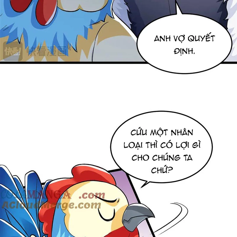 Cường Giả Đến Từ Trại Tâm Thần Chapter 277 - Trang 4