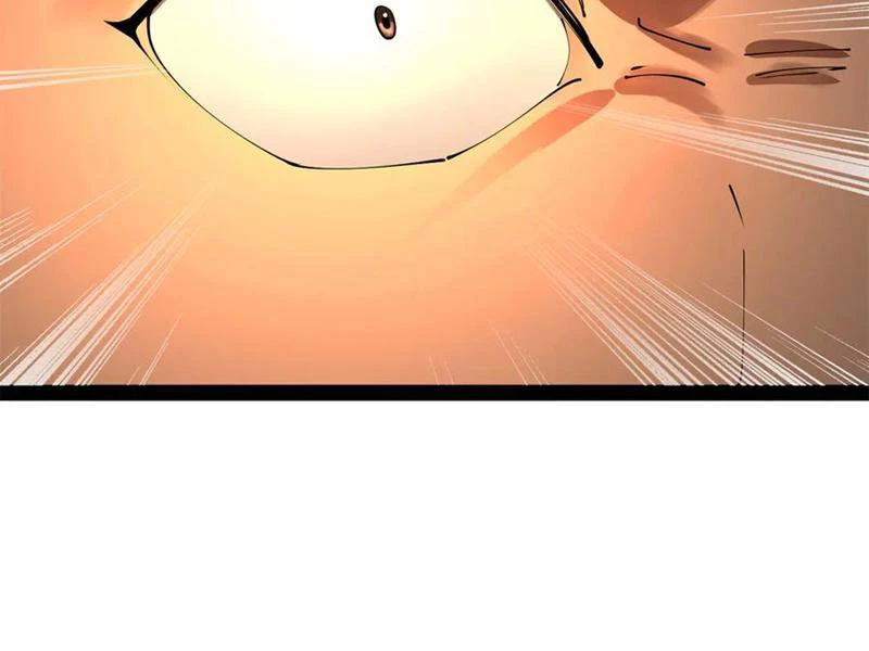 Chàng Rể Mạnh Nhất Lịch Sử Chapter 215 - Trang 4