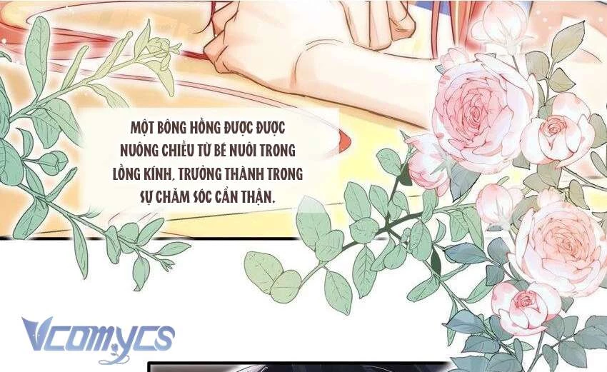 Bong Bóng Đào Chi Chapter 12 - Trang 4