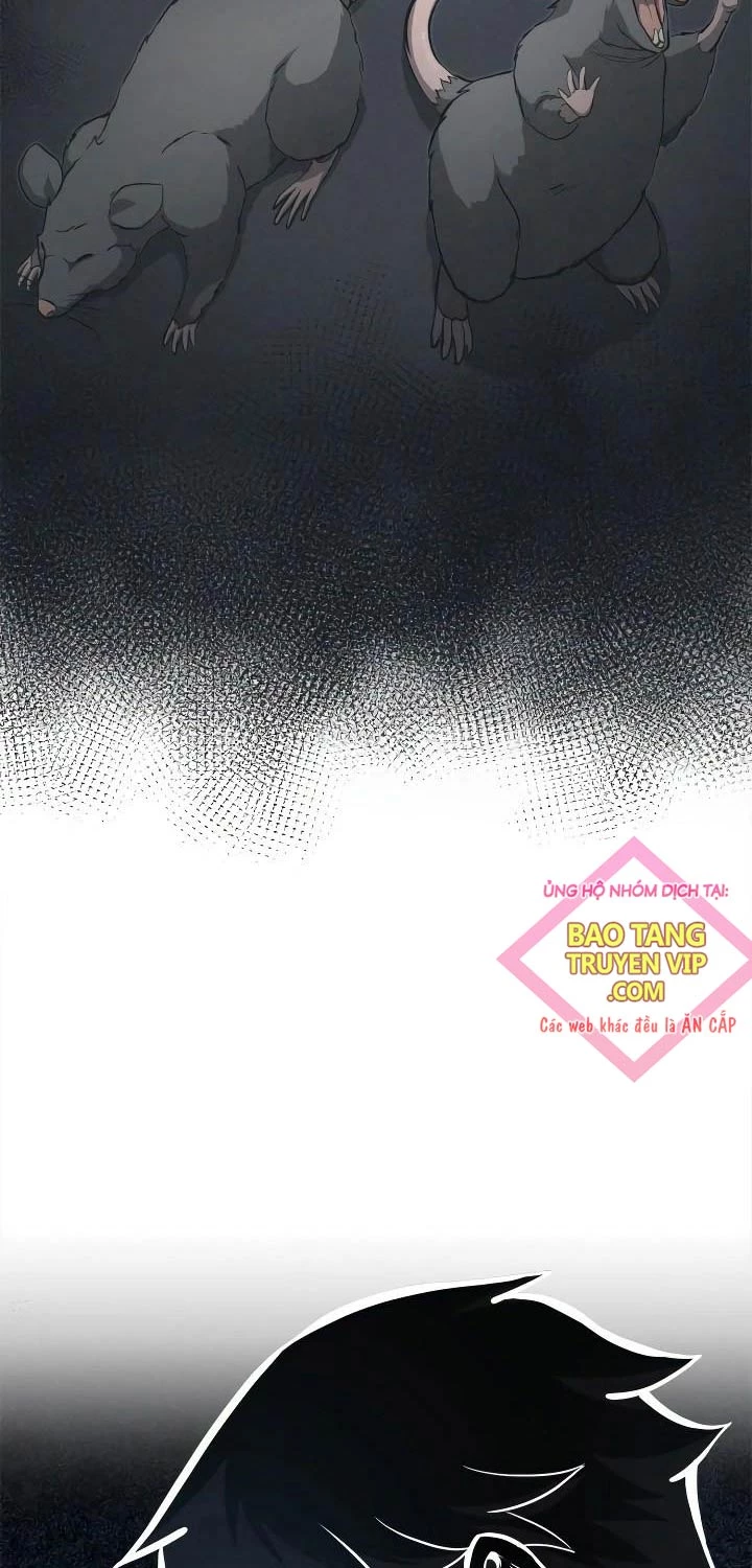 Nhà Vô Địch Kalli Chapter 66 - Trang 4