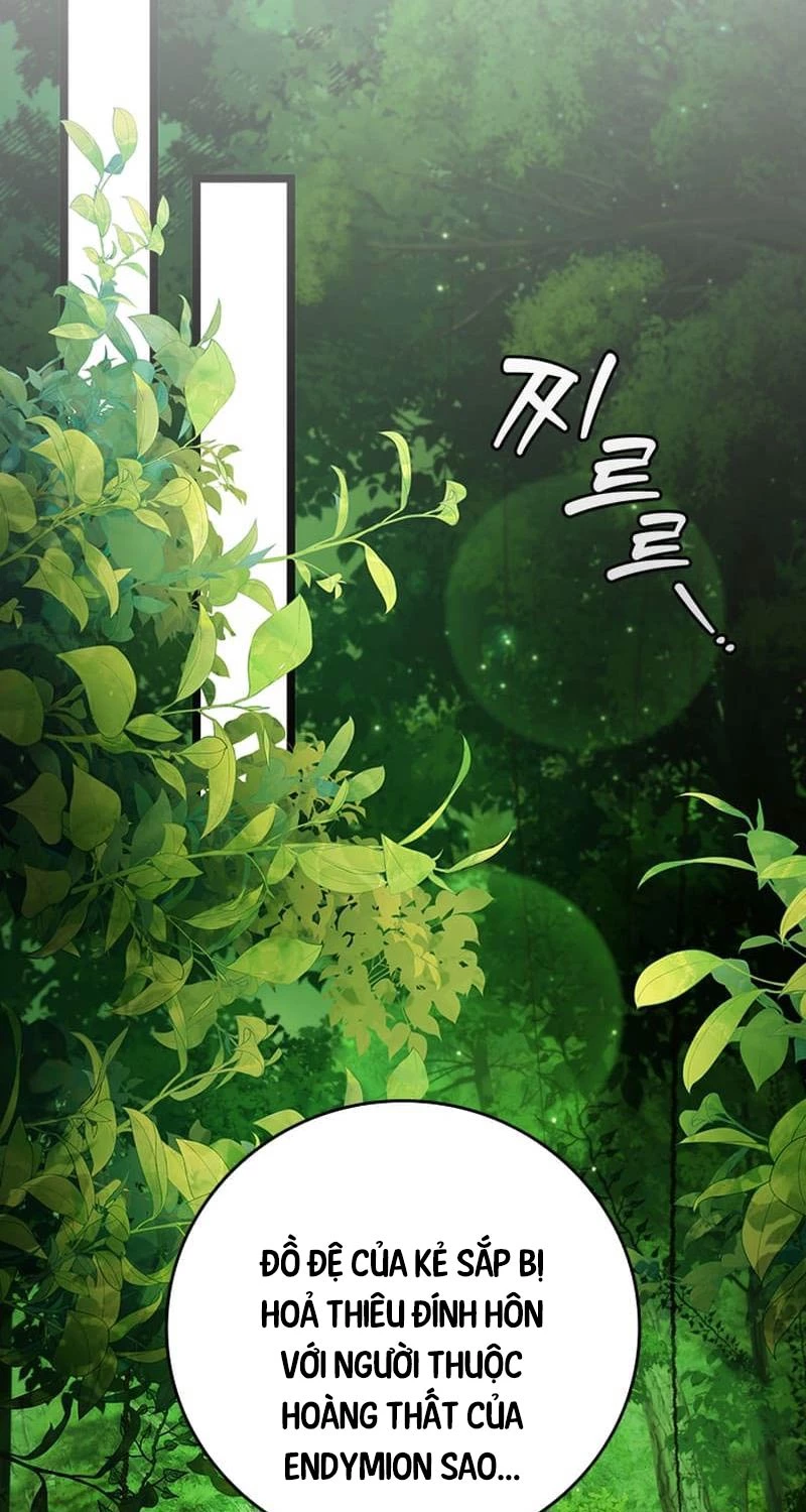 Thực Long Ma Pháp Sư Chapter 66 - Trang 2