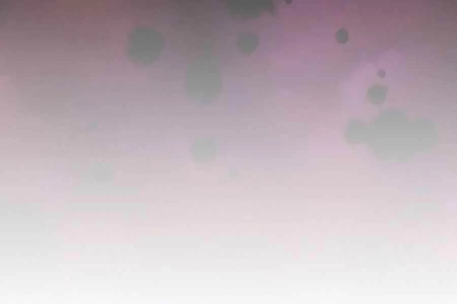 Cháu Trai Thánh Đế Là Tử Linh Sư Chapter 47 - Trang 4