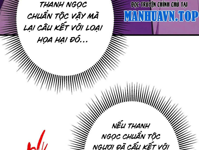 Chưởng Môn Khiêm Tốn Chút Chapter 398 - Trang 4