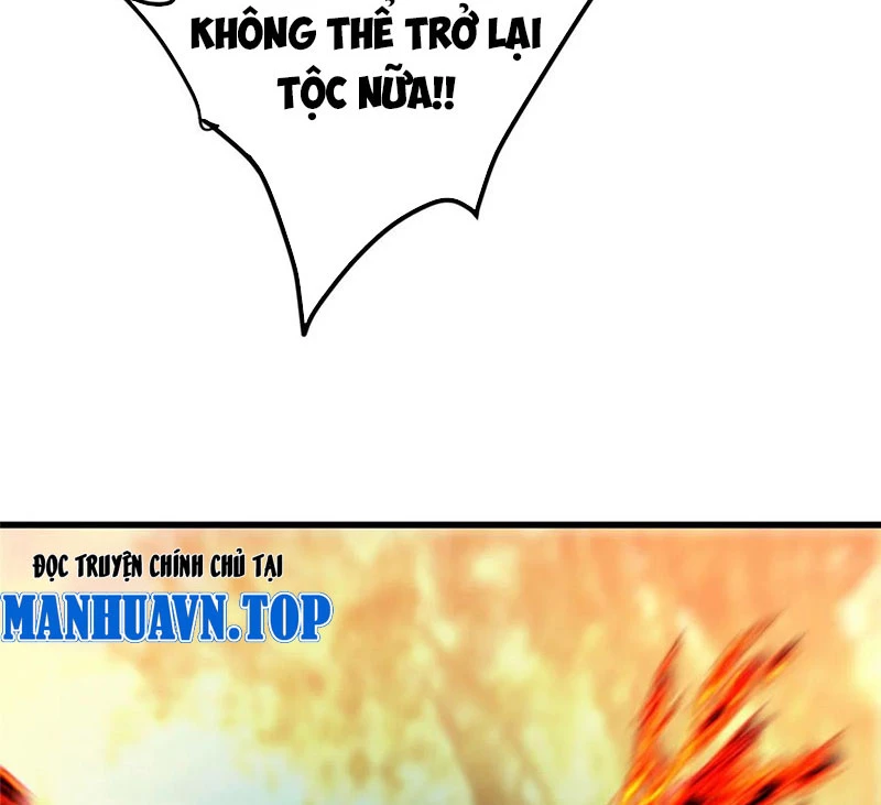 Chưởng Môn Khiêm Tốn Chút Chapter 399 - Trang 4