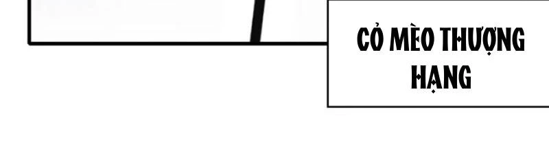 Hoá Ra Ta Đã Vô Địch Từ Lâu Chapter 102 - Trang 4