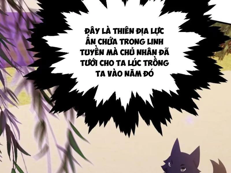 Hoá Ra Ta Đã Vô Địch Từ Lâu Chapter 105 - Trang 4