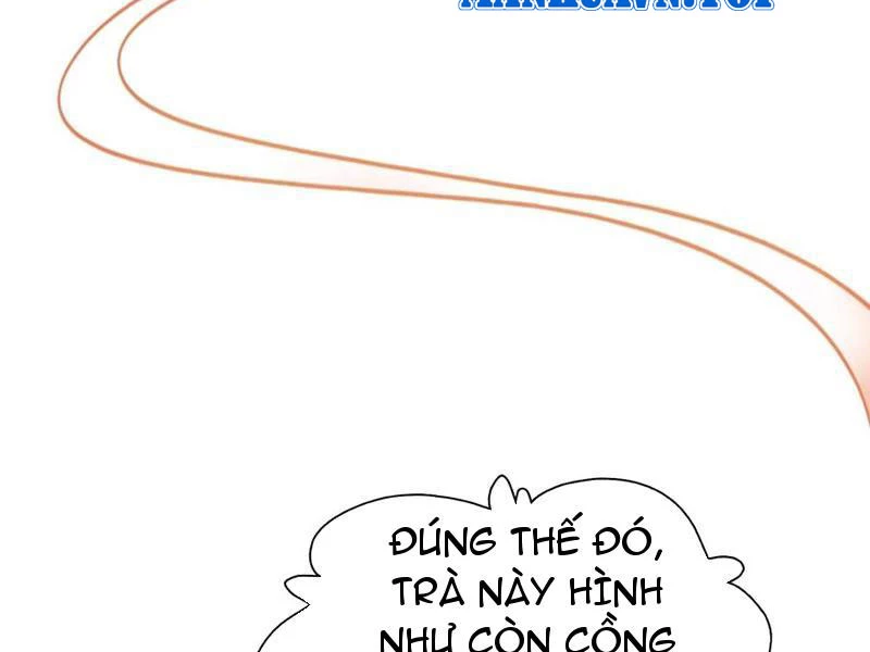 Hoá Ra Ta Đã Vô Địch Từ Lâu Chapter 113 - Trang 4