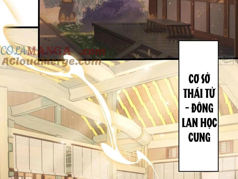 Hoá Ra Ta Đã Vô Địch Từ Lâu Chapter 125 - Trang 4