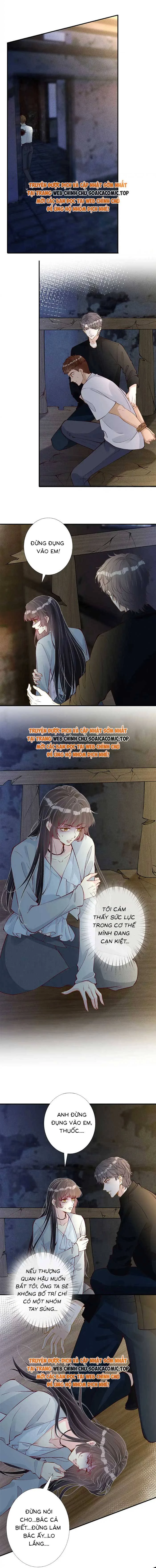Ôm Khẩn Tiểu Mã Giáp Của Tôi Chapter 320 - Trang 4