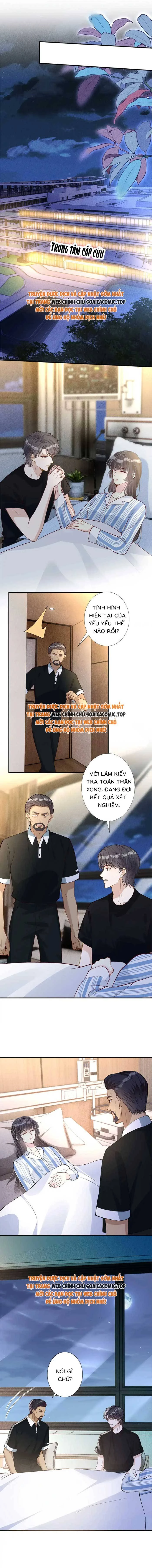 Ôm Khẩn Tiểu Mã Giáp Của Tôi Chapter 320 - Trang 4