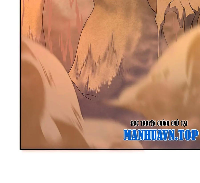 Thần Sủng Tiến Hóa Chapter 326 - Trang 4