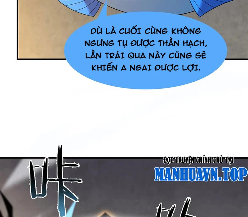 Thần Sủng Tiến Hóa Chapter 330 - Trang 4