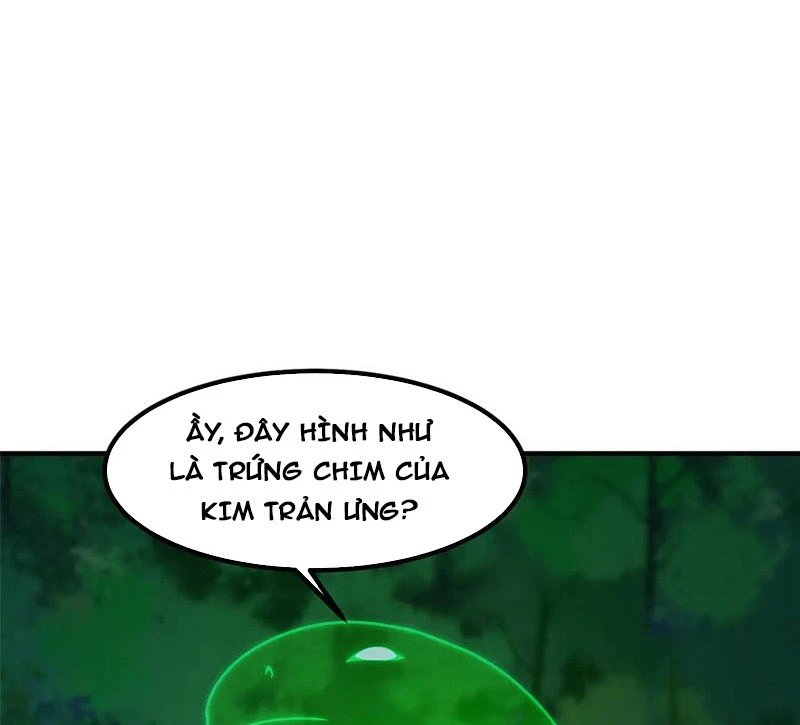 Thần Sủng Tiến Hóa Chapter 330 - Trang 4