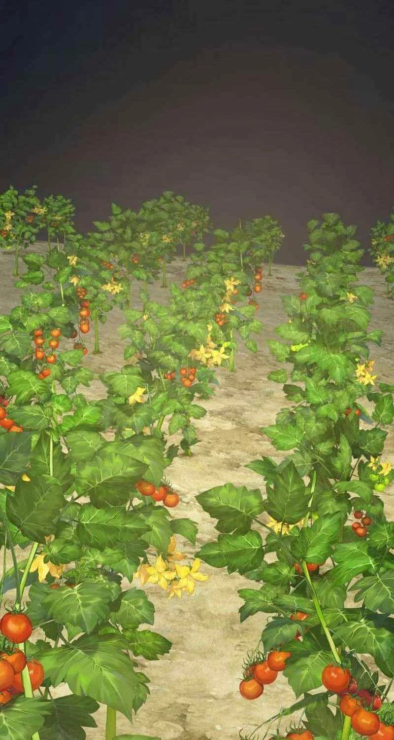 Làm Nông Dân Trong Tòa Tháp Thử Thách Chapter 72 - Trang 4