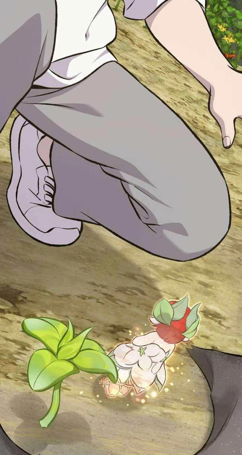 Làm Nông Dân Trong Tòa Tháp Thử Thách Chapter 72 - Trang 4