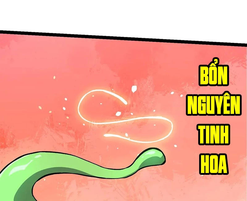 Chuyển Sinh Thành Liễu Đột Biến Chapter 255 - Trang 4